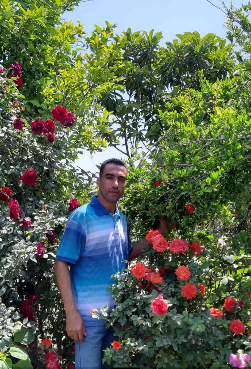 بشرى سارة 
لأهلنا في ناحية جبله وكل شمال بابل وجنوب بغداد 
تم أفتتاح مشتل الكرم قرب سيطرة العكير بإتجاه السوق جهة المشروع 
تتوفر لدينا جميع أنواع وأصناف الأشجار من الحمضيات والنفضيات والزهور وأشجار الزينه 
حيث تم تركيبها وتطعيمها بأصناف وسلالات غزيرة الإنتاج عالية الجودة علماً بأننا مستعدون لرسم وتخطيط وتنفيذ البساتين والحدائق وتقديم الأستشارة مجاناً وبإشراف الأستاذ حسام الدليمي .
للتواصل والإستفسار يرجى التواصل على الرقمين
واتس***********
***********
