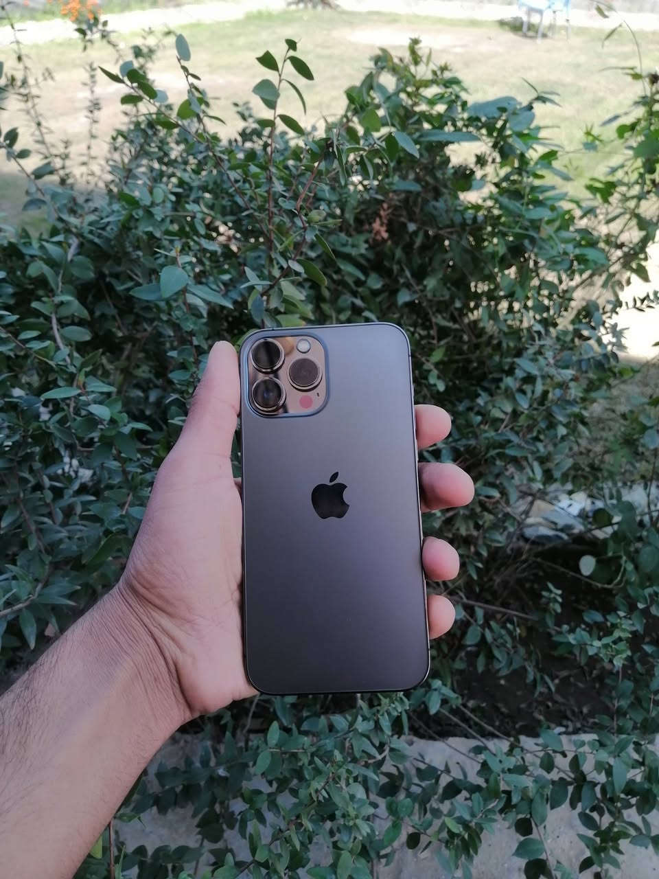 برو ماكس13 مراوس ب S24 او للبيع بطاريه 89 بلادي وتر بروف نموذج m شرق اوسط AAA مع كارتونه


**إذا كنت صاحب هذا الإعلان وتريد حذفه لأي سبب، رجاءا أرسل رسالة إلى الدعم الفني**