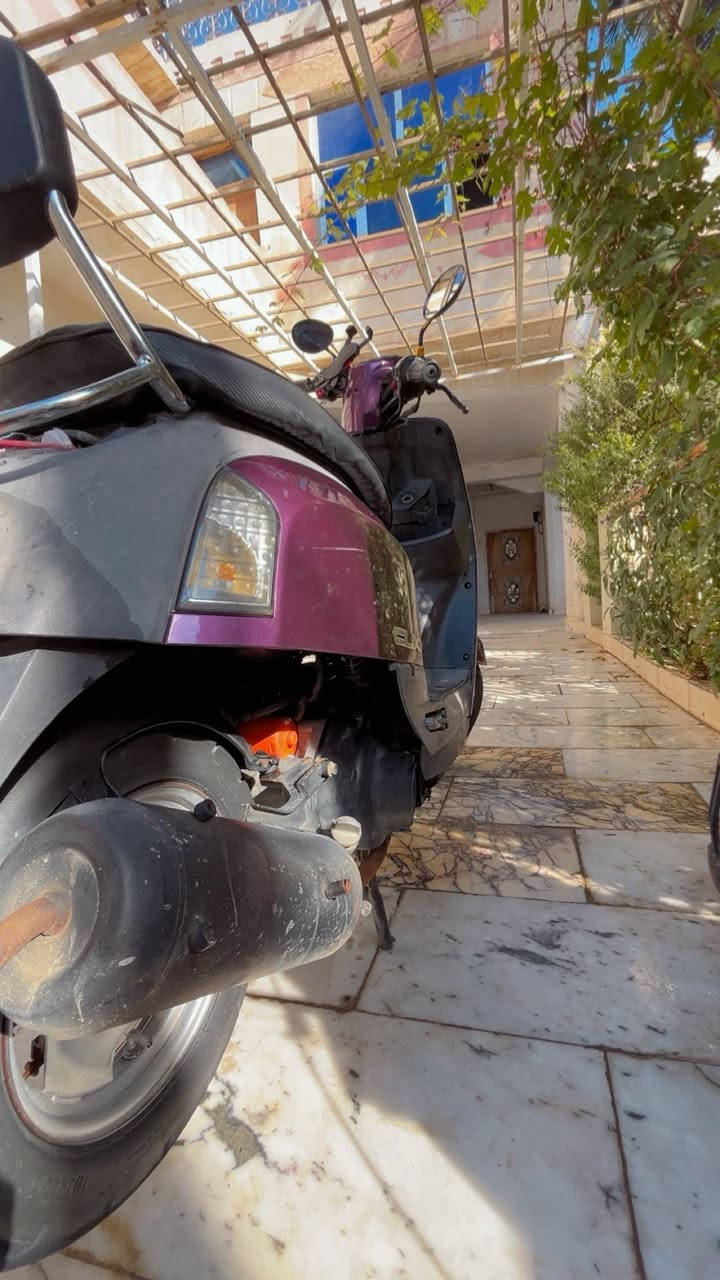 سلام عليكم ماكس بوليـس نوزل للبيع الدراجه شلعه و معدل و الكهربائيات كلها شغاله و بيها اللايت الامامي ابيض مقسم عالي ناصي + مفتوحه ولفـات امانة الله البوشه 50 ابلاديه ع الفحص تجي تشوف و تكلب و تفحص وين متريد ، السعر 650 و بيها مجال للشراي ، المكان الناصريه مركز ، الرقم محمول و واتساب اعمال  ***********
