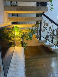 بابل شارع 60 • ١٠٠م • ملك صرف