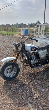 ستوته • ٢٠١٠ • ارقام ضايعات