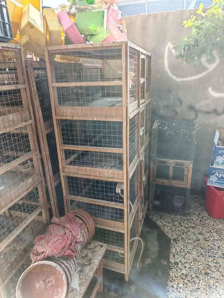 القبله قرب جاسم ابو التريلات رقم *********** البصرة
