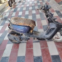 منغولي لايت • ناصريه مركز • شغاله