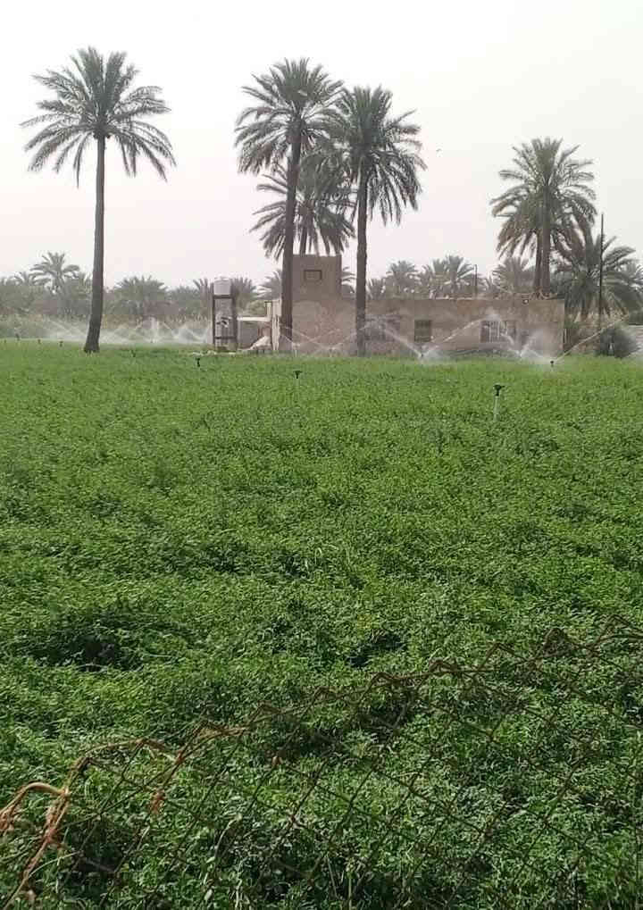 السلام عليكم 
كاع مساحه خمسه دونم طابو ملك صرف سند مستقل خدمات كامله ماي كهرباء سحب منطقه سكنيه ومزارع ترهم استثمار تقطيع الى دونم ترهم استثمار مزارع 
العنوان بغداد المدائن 
للاستفسار اكثر ***********جهاد الشمري
