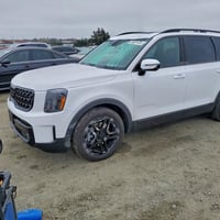 تيلوريد SX • ٢٠٢٥ • مزاد