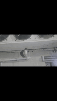 السلام عليكم جهاز 15 طن شغال بالزر
***********
