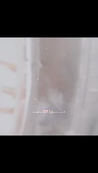 دراجة • أربع كير • أوراق سكنر