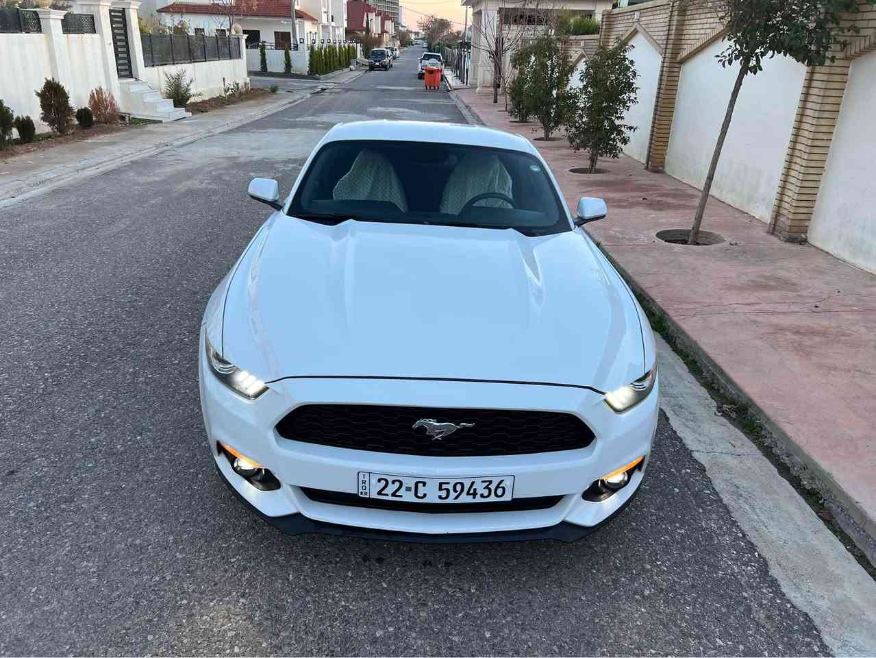 للبيع فورد موستك موديل ٢٠١٧ - ٦ سلندر ٢ بصمه ماصفات معروف ماشيه ٦١مايل سنه وي ٢٠٣٠ شهر ٦ سياره اي نواقي مابيها سياره جديد كير محرك مامفتوح اكسل كهرباي كلة شرط اربع قطعه و شبر صبغ  بدون دواخل بدون ارباك صبغ بس بخ مكان اربيل *********** أربيل, العراق
