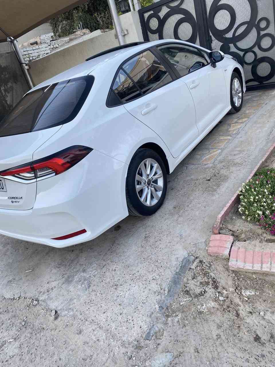 كورلا ٢٠٢٤ هايبرد ماشيه 13 الف علئ ايدي من زيرو فول عدا كشن مو كهرباء 
مواصفات فتحة ورادارات وعداد دجتل وهاند بريك دكمة
مكفولة كفالة عامة لا صبغ ولا تبديل ولا بارد فقط رصعتين 
مكاني بغداد بسمي
السعر خاص


**إذا كنت صاحب هذا الإعلان وتريد حذفه لأي سبب، رجاءا أرسل رسالة إلى الدعم الفني**