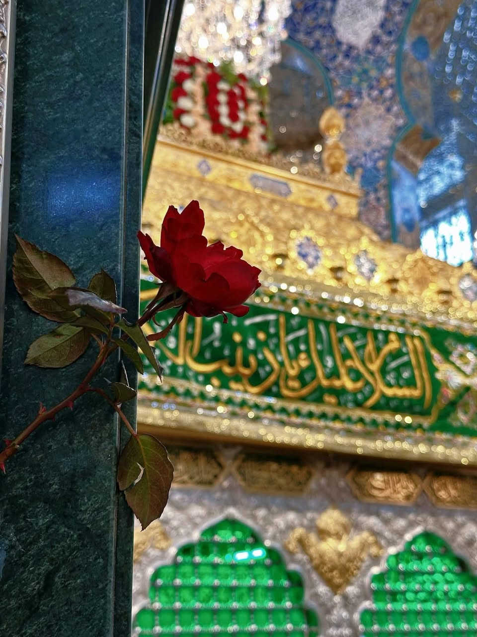 من مقام السيدة زينب (ع) نبارك للأمة الإسلامية بولادة أسد الله الغالب،أبي زينب الحوراء، إمام العدل، ووصيّ رسول الله (ص).🤍🌸

قلدونا الدعاء والزيارة 

#السيدة_زينب 
#أمير_المؤمنين 
#متباركين
شركـــــة وردة الياسمين للسياحة والسفر
عنوانك للتميز دائما وابدا
التميز نحنا من نصنعا
***********
الاستاذ حيدر الكنعاني
الاتصال 🤙 وتساب
وجودنا لخدمتكم دائما وابدا
