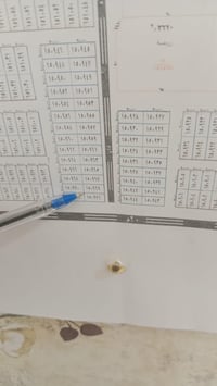 قطعة  ارض للبيع - حي الربيع  ⚫️المساحة: ٢٠٠ متر  🟣رقمها : ١٥٠٩٦٩   🟢ال...