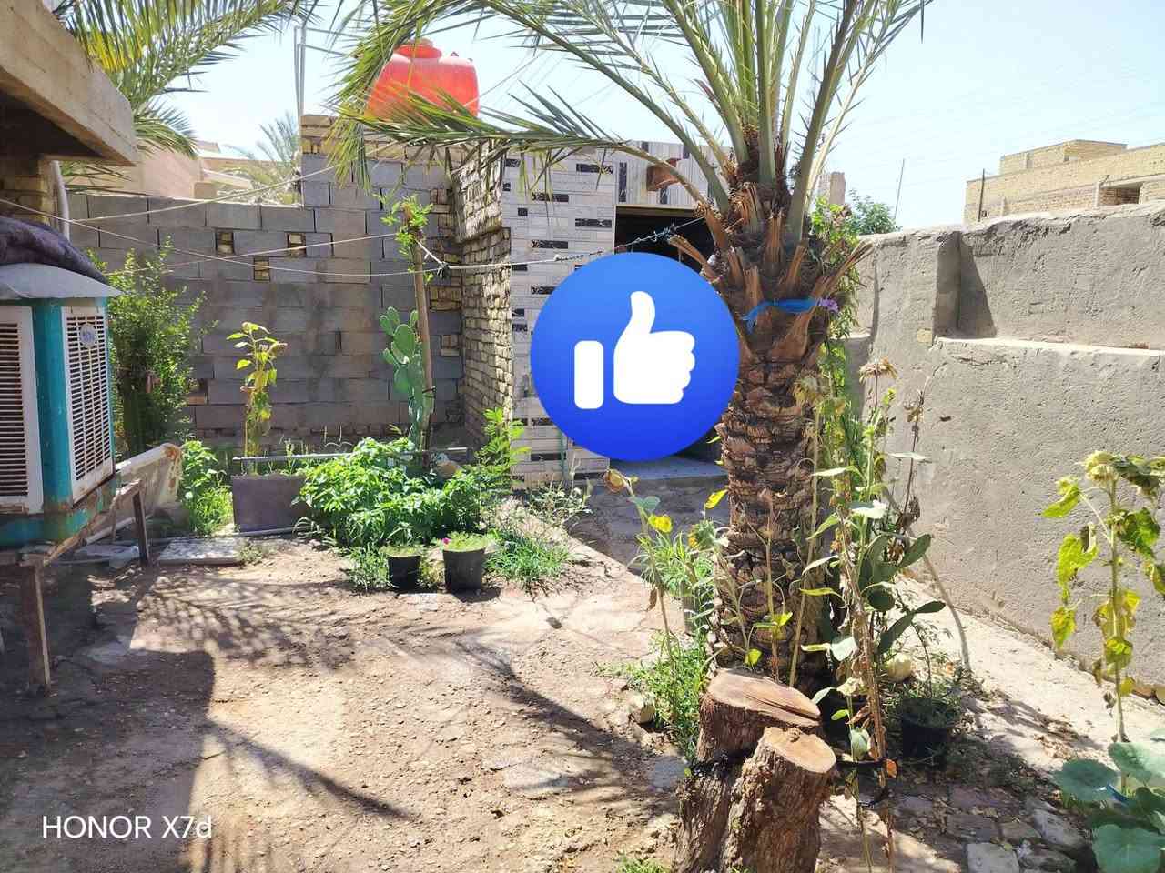 بيت للبيع
الشركه الغربيه مساحه ٣٠٠ م بناء مسلح ديوانيه غرفتين مطبخ هول حمام

حديقه كدام تصلح مشتمل وكراج سياره ومحل تكدرون تعدلونه وتفتحوه وترك وره بي ٥٠ م 

ع الكورنيش

ب٢٥٠ وبي مجال فقط الشراي يتصل

***********
