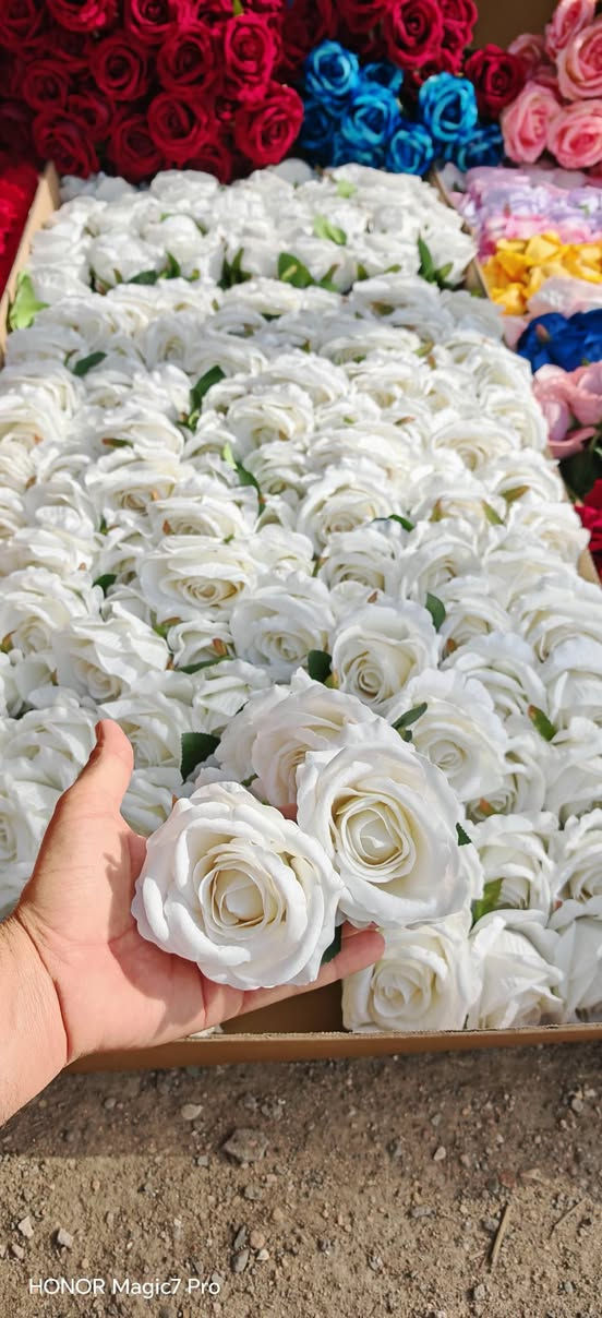 صفحة الفيسبوك
https://www.facebook.com/share/rXh8wephEUKuo1Zh/?mibextid=qi2Omg

صفحة الانستا 
https://www.instagram.com/giftboxes9797?igsh=aW1iNGdzaTB3Y2R3
صفحة تيك توك
https://www.tiktok.com/@giftboxes975?_t=8oTQr6bNkwi&_r=1

رقم واتساب ***********

معرف الحجز @h_u9797
