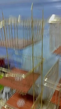 سلة خضار • ذهبي ممطروق • بغداد