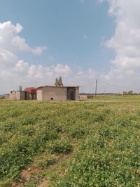 مزرعة زراعي • كركوك • ٣ دوانم