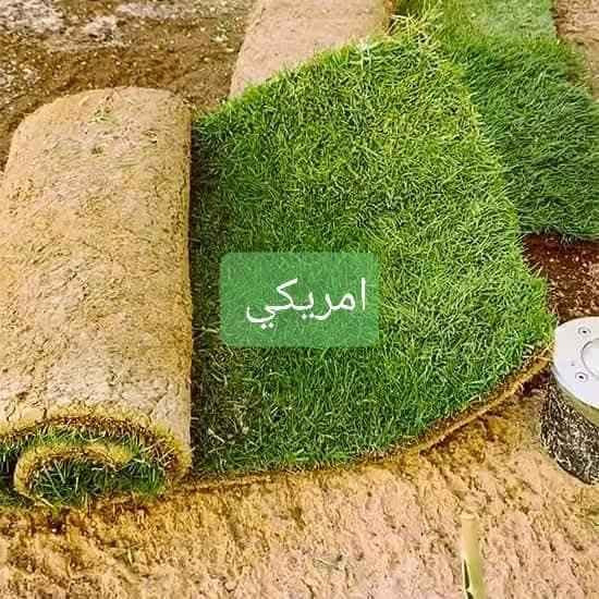 ثيل طبيعي السعر 2000دينار التوصيل مجاني بغداد, العراق


**إذا كنت صاحب هذا الإعلان وتريد حذفه لأي سبب، رجاءا أرسل رسالة إلى الدعم الفني**