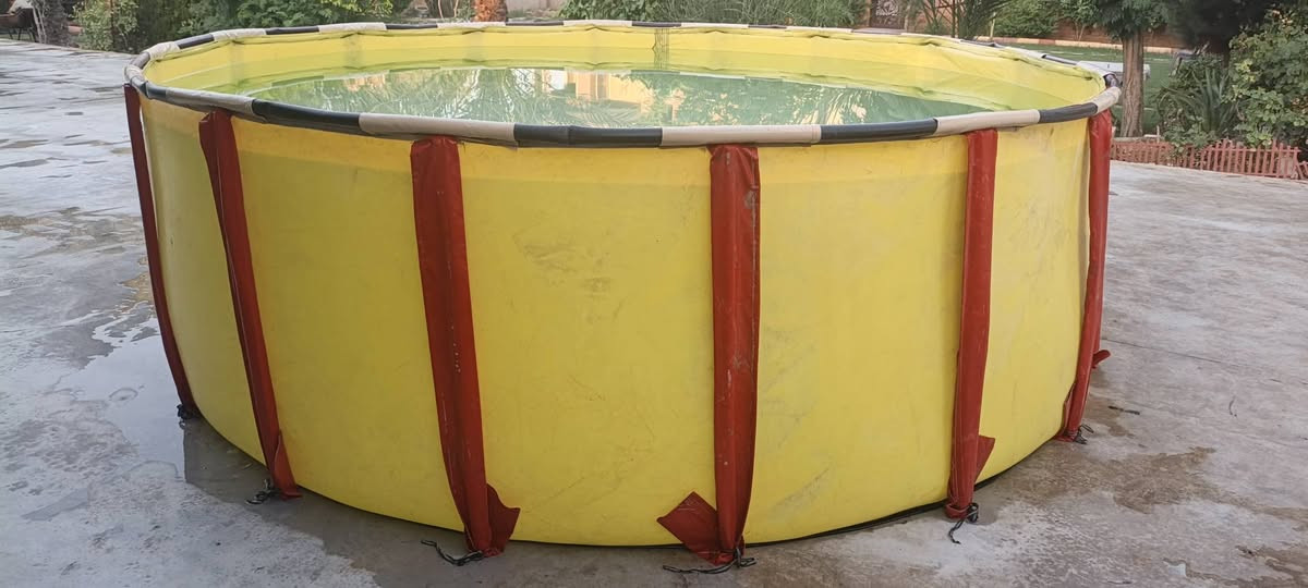 متاح مسبح اخو الجديد عمق متر عرض اربعه امتار السعر 150 شراي راسلني خاص


**إذا كنت صاحب هذا الإعلان وتريد حذفه لأي سبب، رجاءا أرسل رسالة إلى الدعم الفني**