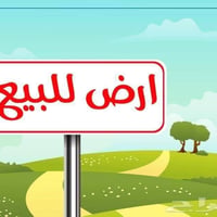 ٢٥٠م • طابو • شارع ٨٠