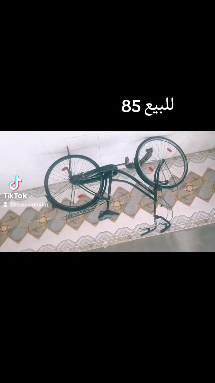 للبيع باسكل مصبوغ بس الوياله ومكفول وصناعه ياباني صبغه بلادي السعر 85 قفل ول يريده يجي خاص ماسنجر العنوان سوق الشيوخ قرب موكب شهيد الجمعه


**إذا كنت صاحب هذا الإعلان وتريد حذفه لأي سبب، رجاءا أرسل رسالة إلى الدعم الفني**