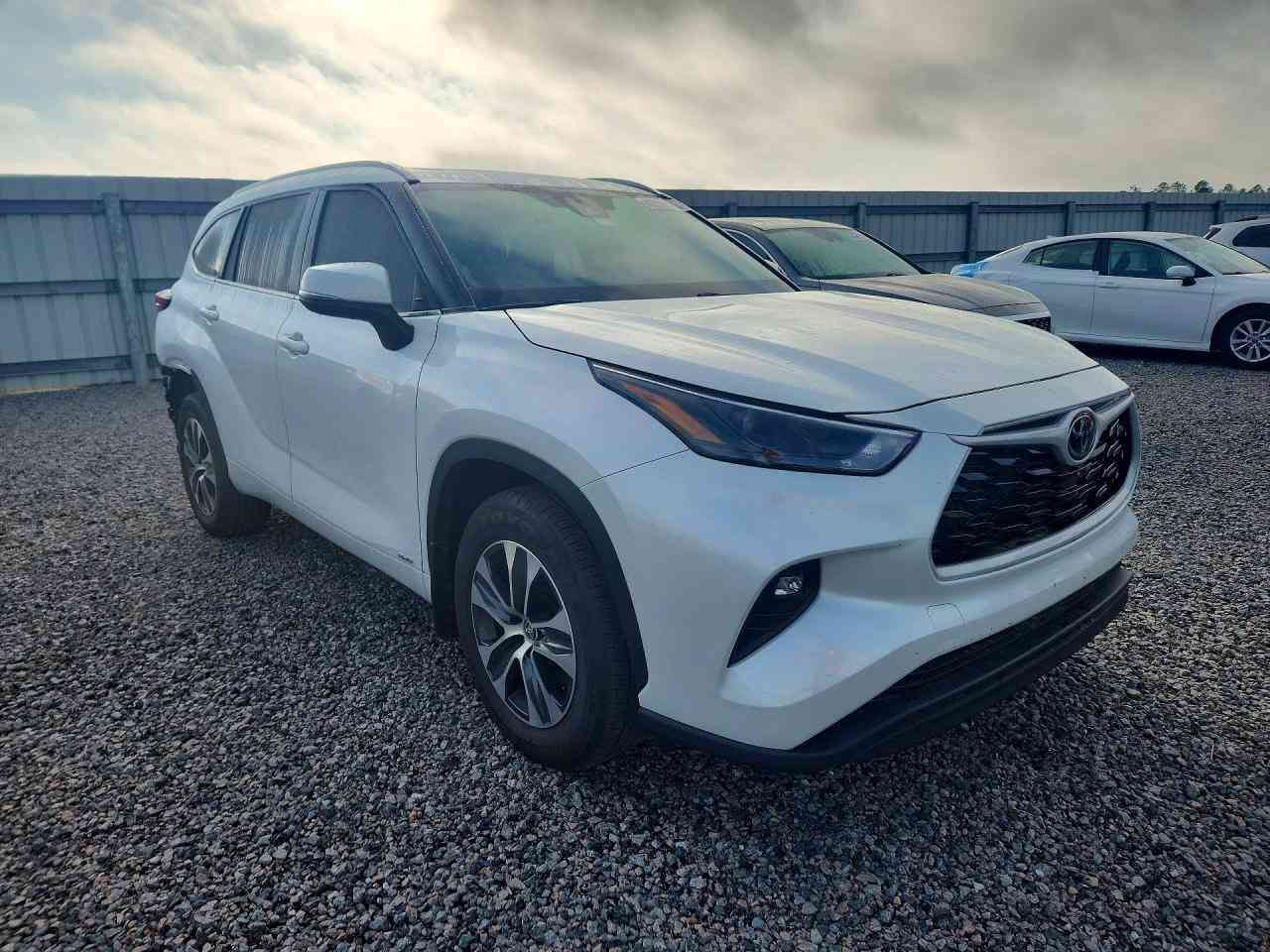 📢 إعلان مزاد سيارة - تويوتا هايلندر 2025 🚗

• (تدخل كتاب ذوي شهداء)

تفاصيل السيارة والمزاد
• حادث: (كما هو موضح بالصور)

• تاريخ المزاد: الجمعة 2026/5/15

• السعر: حسب المزاد

⏰ مواعيد المزاد والدوام
• أيام الدوام: من الاثنين الى الجمعة

• وقت المزاد: من الساعة 4:00 عصراً وحتى 12:00 ليلاً

للتواصل والاستفسار
.***********

.***********

📍العنوان : فلوجة - شارع 60 - مقابيل مندي المراسيم 

#سيارات #مزاد_امريكا #الفلوجة #الأنبار #سيارات_وارد_امريكي #وارد_امريكي #شركة_شعيب_وهيثم_الراوي #تجارة_السيارات #فلوجة_شارع_60 #العراق #فلوجة #شركة_شعيب_وهيثم_الراوي_الأستيراد_السيارات_الأمريكي
