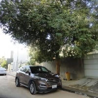 توكسان • ٢٠١٧ • رقم بغداد