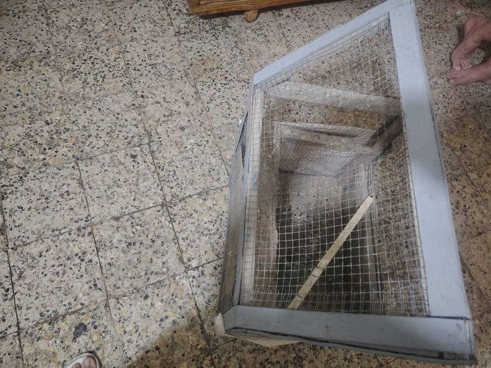 قفص للبيع عمارة, ميسان


**إذا كنت صاحب هذا الإعلان وتريد حذفه لأي سبب، رجاءا أرسل رسالة إلى الدعم الفني**