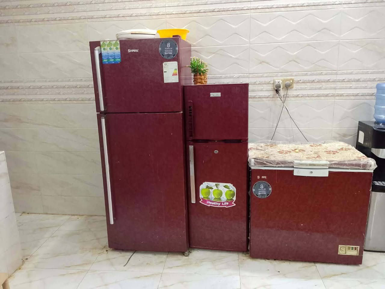 كنتور 400مجمده 300ثلاجه صغيره 250ثلاجه كبيره 400زاويه 125


**إذا كنت صاحب هذا الإعلان وتريد حذفه لأي سبب، رجاءا أرسل رسالة إلى الدعم الفني**