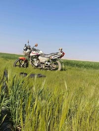 فانده • نضيف • محرك ما مفتوح
