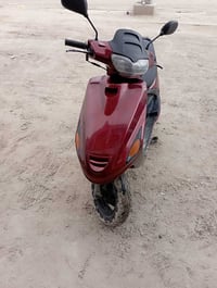 فراشه • فحل • كهربائيات