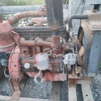 مولد • بلروز • العمارة