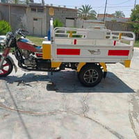 ستوته ام الطير • ٢٠ • ٢٠١٩