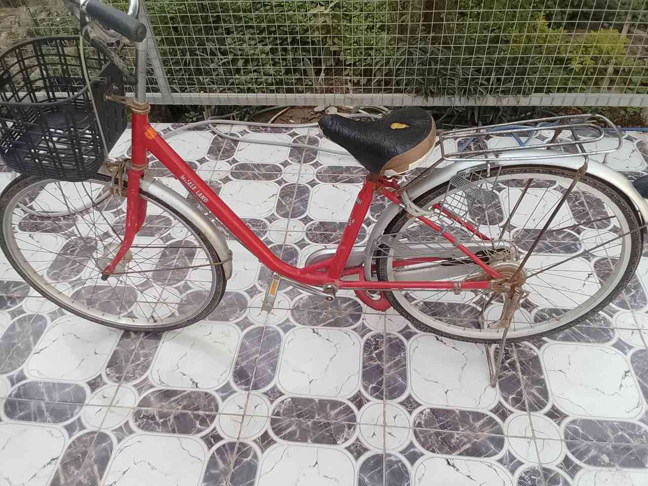 باسكلات للبيع السعر خاص


**إذا كنت صاحب هذا الإعلان وتريد حذفه لأي سبب، رجاءا أرسل رسالة إلى الدعم الفني**