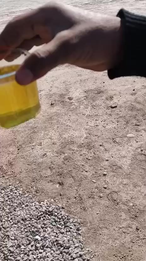 المنتوجات المتوفرة من معملنا  (( مباشرة )) :
أصفر  
احمر 
عسلي
 الكميات الجاهزة للتجهيز :
▪️ 10,000 لتر
▪️ 12,000 لتر
▪️ 14,000 لتر
▪️ 18,000 لتر
تجهيز مباشر من معاملنه الخاصه 
للاتصال
حجي كاظم 
***********
