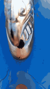 سلام عليكم شباب ستوته لبيع رقم انكليزي بسمي مداور ثاني يوم مديل 11تعمر كله 25ستوته مكفول كفاله عامه مال جناي الستوته متعوب عليه السعر 
(2500) اوبيه مجال الشراي يتصل ***********
    
مكان مشخاب بسوك شعلان
