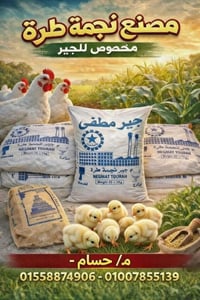 جير مطفي نقي • زراعة ومواشي • العلوان المعادي