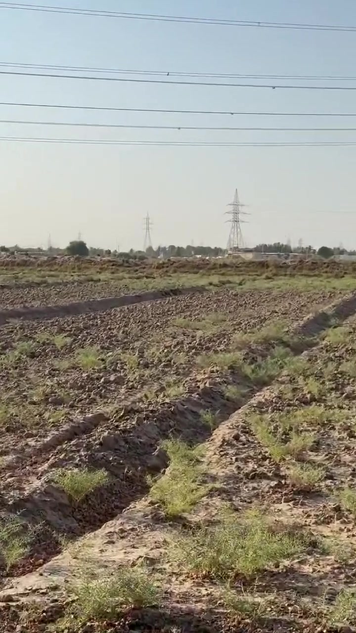 #الديوانية طريق الرائرين 
جبنالكم 7دوانم طابو صرف سعرها يخبل 
وكلش مناسب 
 للاتصال ‭***********‬
