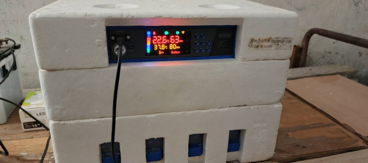 السلام عليكم فقاسة سمارت 128 بيضة طابقين مع عاكسة هندية وبطارية 150 امبير جديدة كلش مستخدم قليل الشراي يجي خاص ويتدلل


**إذا كنت صاحب هذا الإعلان وتريد حذفه لأي سبب، رجاءا أرسل رسالة إلى الدعم الفني**