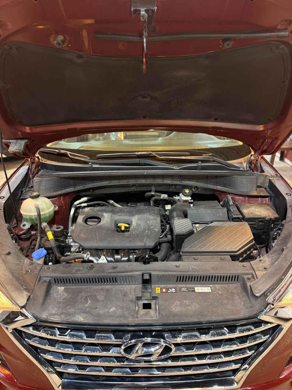 توسان 2020 خليجي وكالة الكاصد (اصل)
رقم اربيل
ماشية 28 كم حقيقي شرط الفحص
كراسي 2 كهرباء
شاشة اصلية + كامرة اصلية 
حساسات خلفي + امامي
بصمة دخول + تشغيل
تبريد قطعتين
مري شفط + نظام ترحيب
شحن لاسلكي
السعر 188 $


**إذا كنت صاحب هذا الإعلان وتريد حذفه لأي سبب، رجاءا أرسل رسالة إلى الدعم الفني**