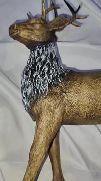 تحفيات غزلان • ٦ قطع