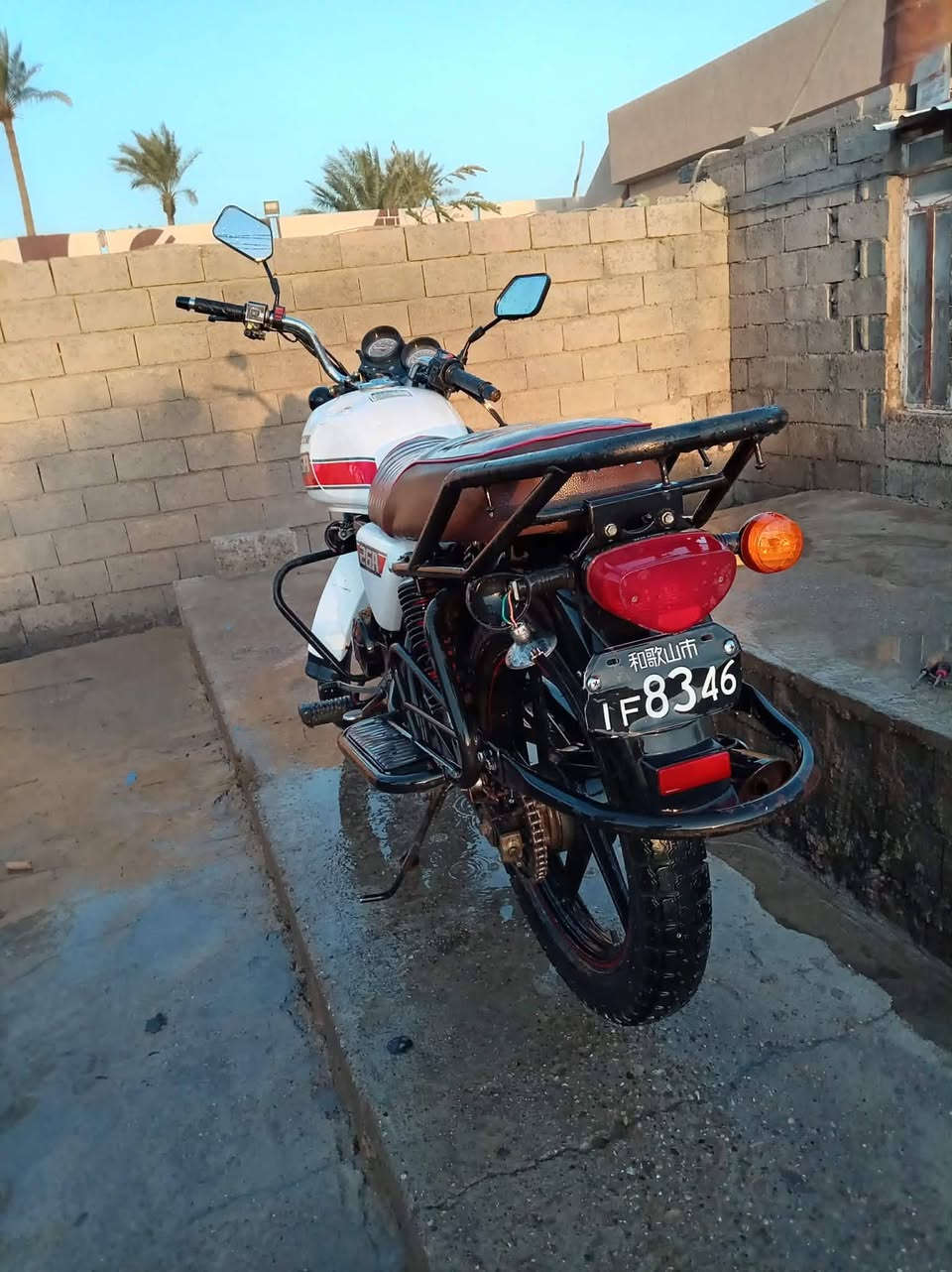 سلام عليكم
«دايوان مديل 23»
                                       «مراوس فقط» 
         «مكان بعقوبه»
                               «تفضل خاص»


**إذا كنت صاحب هذا الإعلان وتريد حذفه لأي سبب، رجاءا أرسل رسالة إلى الدعم الفني**