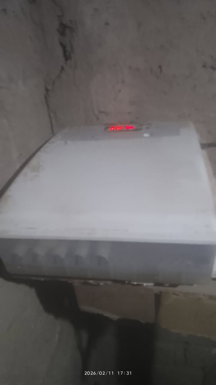 سلام عليكم متاح فقاسه فولتوماتيك الشيل بيض 64 السعر 120 وهايل بالقاعه فراخه***********
