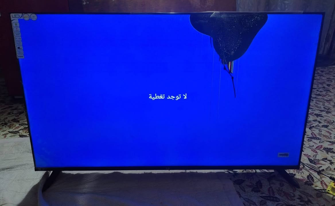 ابلازما حجم 50 ابيعه عله وضعيته ماخذه جديده قيمه باليرضه الله


**إذا كنت صاحب هذا الإعلان وتريد حذفه لأي سبب، رجاءا أرسل رسالة إلى الدعم الفني**