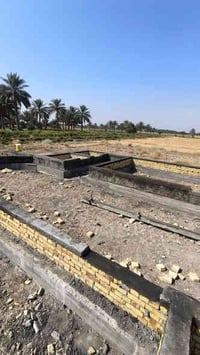 خلفات بناء درجه اولى و صادقين ب المواعيد 07751921267