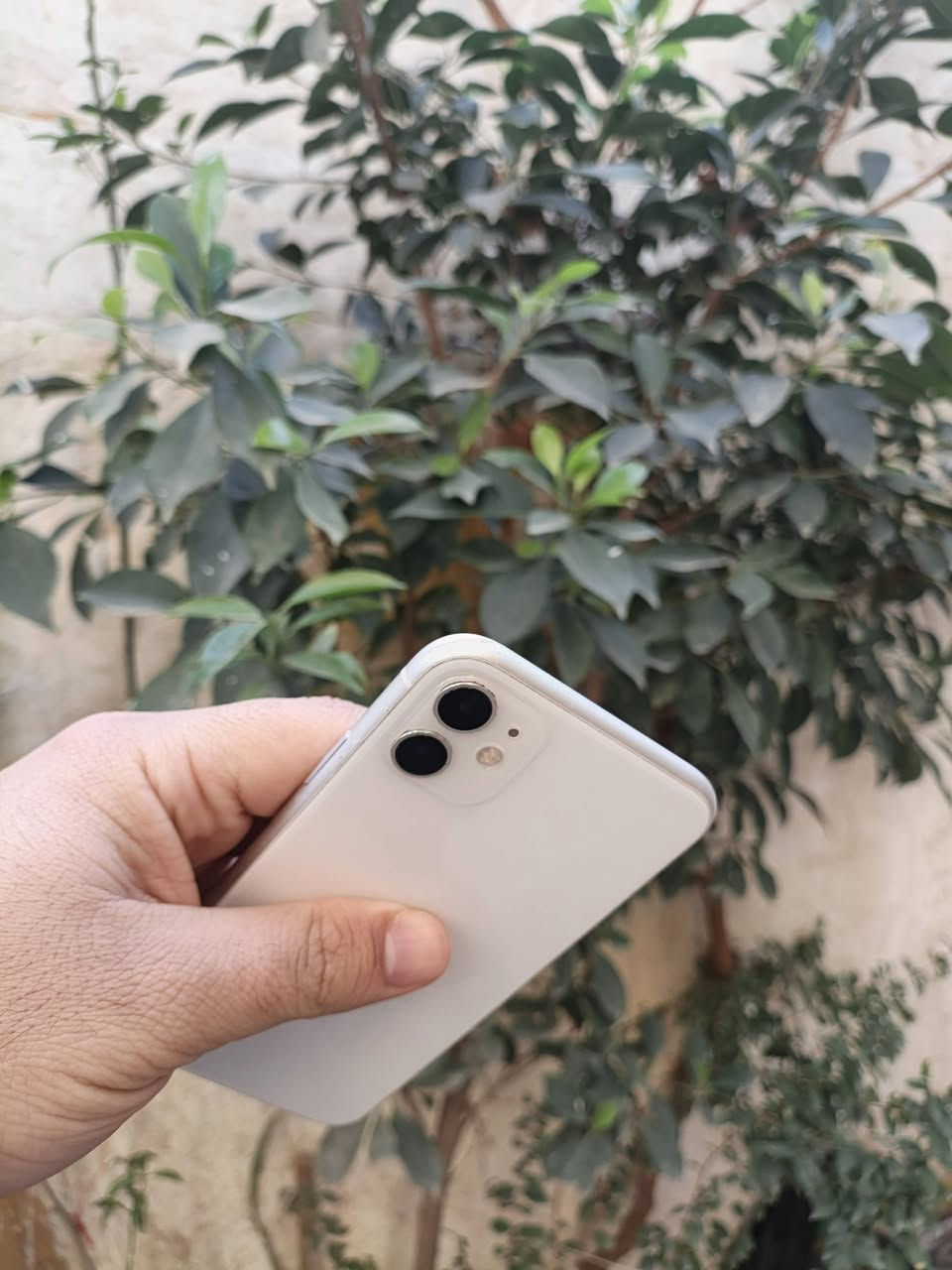 ايفون 11عادي للبيع فقط
مستبدل شاشه فقط فيس ايدي شغال 
بطاريه 67 بلاديه
ذاكره 128
مثل ماوضح بل صوره جهاز نضافته
سعره 175
مكاني بغداد للستفسار خاص 
الجهاز الثاني 

اكس ماكس للبيع فقط
جهاز نضيف مثل مامبين بل صور
وتر مامفتوح ابد 
بطاريه 75 
فيس ايدي شغال كله شغال 
اذكره256
فقط ضهر مفطور 
سعره 175
شراي تفضل خاص وتدلل ♥️


**إذا كنت صاحب هذا الإعلان وتريد حذفه لأي سبب، رجاءا أرسل رسالة إلى الدعم الفني**