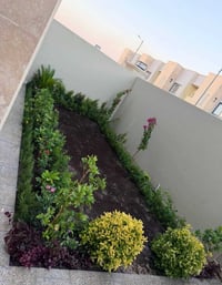 حديقة منزلية • ديكور حدائق • زراعة