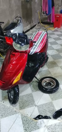 دراجة فرشة • بوشة 55 • نجف