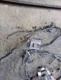 مرخصة مدير الكروب عقول بيكم دير وبيكم كنو مع ضفاير نضاف . السعر خاص. غ...