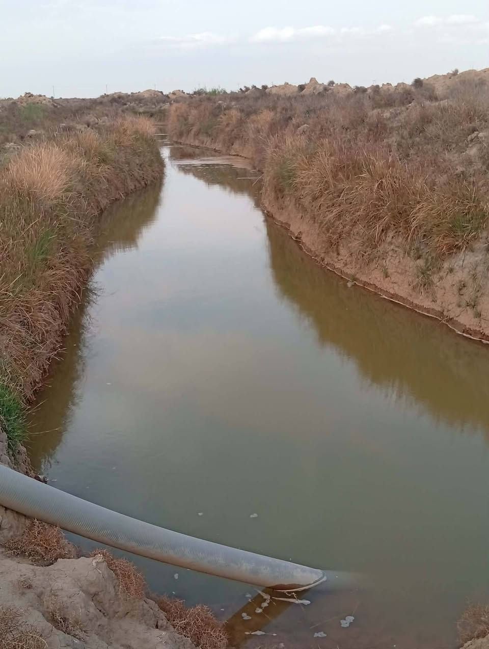 السلام عليكم. 
أرض زراعية للبيع مساحتها 70 دونم. 
أرض حلوه وصالحة للزراعة 100٪. والموسم الفات مزروعه حنطه وشعير معدله وجاهزه صايره جرف ع نهر ونهرها يحتوي ع ماء حلو من ناظم سعيدان وتحتوي ع كهرباء ضغط عالي بيها. وشارع سبيس يبعد عنها مسافة 300متر. ومسافة السبيس 7كيلوات يصعدك ع شارع الساده الاخوان. والارض حلوه جداً وصالحة للزراعة والسكن.العنوان قريه.    ال رويحان  
للاستفسار أكثر الاتصال ع رقم.***********
