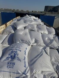 شعير مستورد • قضاء الزبيدية • واسط