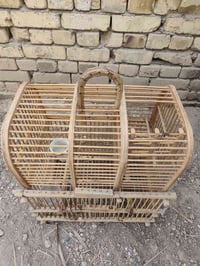 ققص • صياد • س 20